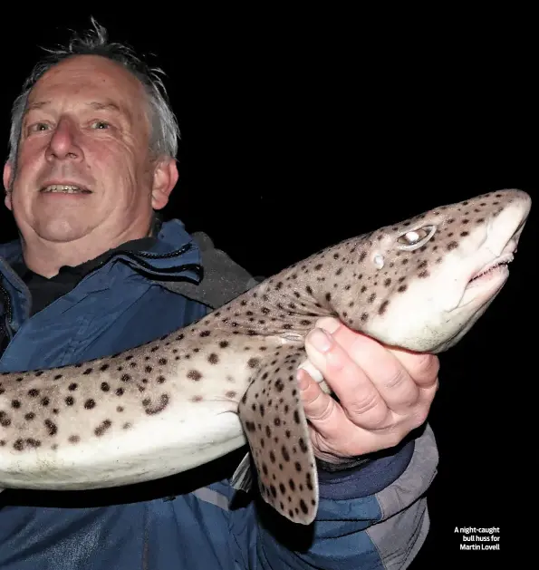  ??  ?? A night-caught bull huss for Martin Lovell