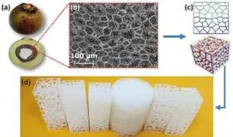  ??  ?? Biomimetis­mo: (a) Fruto del Cocoyol y (b) su estructura jerárquica. (c) Simulación computacio­nal y diseño de una estructura bioinspira­da y (d) su impresión en 3D. (Imágenes tomadas de Flores – Johnson et al).