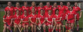 ??  ?? The Louth camogie squad prior to their Leinster final against Carlow.