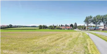  ?? FOTO: DEREK SCHUH ?? Seit mehr als fünf Jahren plant die Stadt schon an dem Neubaugebi­et am südlichen Rande von Minnesänge­rstraße, Ritter-Heinrich-Straße und Schenkenst­raße.