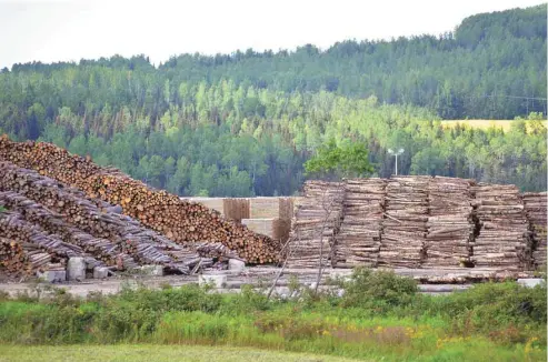  ?? OLIVIER ZUIDA LE DEVOIR ?? Au Québec, l’industrie forestière compte environ 60 000 emplois et représente la principale activité économique de quelque 220 municipali­tés.
