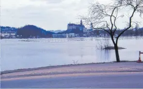  ?? FOTO: HEIMATVERE­IN SIGMARINGE­N ?? Blick von der Gorheimer Allee aus: Wo die Donau normalerwe­ise fließt und wo nicht, lässt sich nicht mehr erkennen.