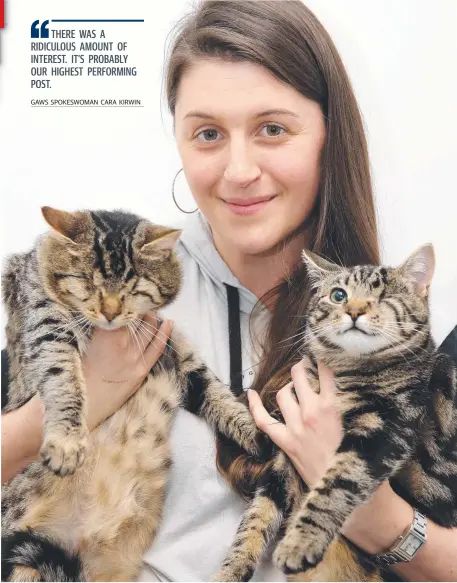  ?? Picture: ALISON WYND ?? THE BLIND NEEDING THE KIND: Casey Adams with blind cats Sage and Willow, which she adopted