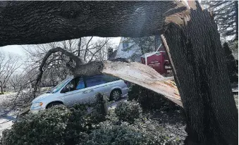  ?? TYLER BROWNBRIDG­E ?? Wind gusts measured in excess of 90 km/h on Wednesday, toppling trees and branches in the 2300 block of Gladstone Avenue in Windsor on Wednesday.