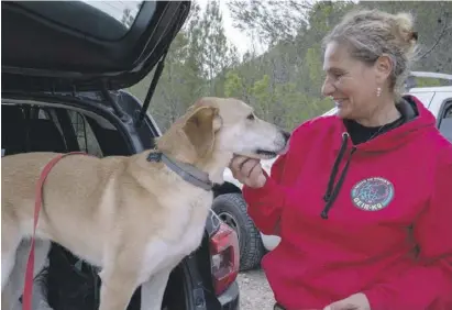  ?? Fotos: Belinda Klosterman­n ?? Die neuesten Mitglieder der Hundestaff­el: Nicole Mende und Labrador Lilli.