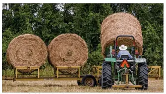  ?? PHOTOS BY JAY JANNER / AMERICAN-STATESMAN ?? Isidro Diaz moves hay bales Tuesday at the Lazy Two Cattle Company ranch, between Austin and Bastrop. The ranch’s hay harvest is about half of normal this summer.