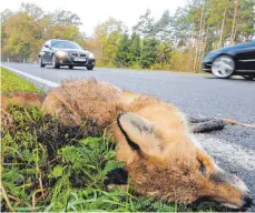  ?? FOTO: HOLGER HOLLEMANN/DPA ?? Ein nach einem Wildunfall verendeter Fuchs liegt am Rand einer Straße. Wenn die Uhr um eine Stunde zurückgest­ellt wird, falle der Berufsverk­ehr in die Dämmerung und somit in die Zeit, in der viele Wildtiere unterwegs und auf Nahrungssu­che sind, so der Tierschutz­verein.