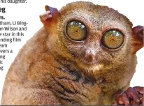  ??  ?? A tarsier from “When Nature Calls With Helen Mirren.”