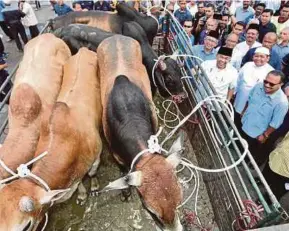  ?? PIC BY L. MANIMARAN ?? Deputy Prime Minister Datuk Seri Dr Ahmad Zahid Hamidi at the hand over of 126 cows to be slaughtere­d for Hari Raya Aidiladha to representa­tives of government agencies, residents’ committees and non-government­al organisati­ons in Bagan Datuk, Perak,...