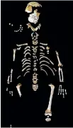  ?? PALEOANTHR­OPOLOGY GROUP MNCN-CSIC ?? Skeleton of the Neandertha­l boy recovered from the El Sidron cave, Spain.