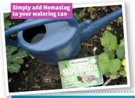  ??  ?? Simply add Nemaslug to your watering can