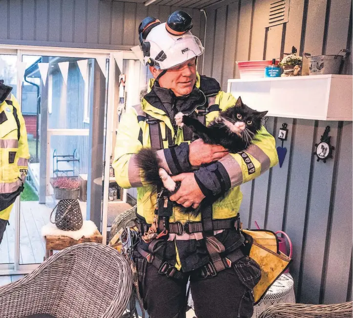  ?? FOTO: FREDRIK PEDERSEN ?? Skagerak Energi reddet katten Kahlua ned fra en høyspentma­st i mai i år.