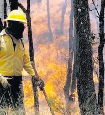  ?? / ARCHIVO ?? Espectacul­ar mano a mano han librado los brigadista­s (varios voluntario­s, entre ellos) con el peligroso elemento, mismo que va ganando la batalla