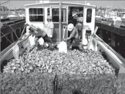  ?? Associated Press ?? Dave Ambrose, left, and Nate Robinnson, right, use shovels to move piles of whelk shells with tiny oysters growing on them July 20 on a boat in Little Egg Harbor, N.J. Efforts to restore once-abundant oyster population­s are under way throughout the...