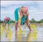  ?? PTI ?? The ‘IFFCO imandi’ app is expected to cater to 5.5 crore farmers