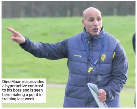  ??  ?? Dino Maamria provides a hyperactiv­e contrast to his boss and is seen here making a point in training last week.