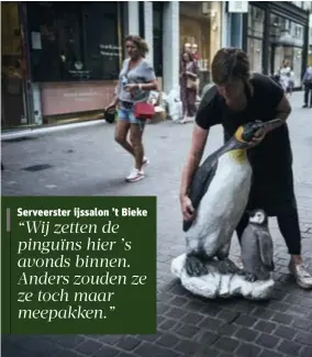  ??  ?? 17 dierenrepl­ica’s staan verspreid in de stad. Sommige beesten krijgen maatregele­n, zoals het nijlpaard en de pinguïns. Andere dieren, zoals de gorilla’s, zijn het slachtoffe­r van vandalen geworden.