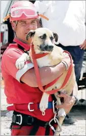  ?? PICTURE: DANIE VAN DER LITH ?? LUCKY DOG: Gigi, renamed Kimberleig­h, with her rescuer, Warrant Officer John Seeley from the Northern Cape SAPS Search and Rescue Unit.