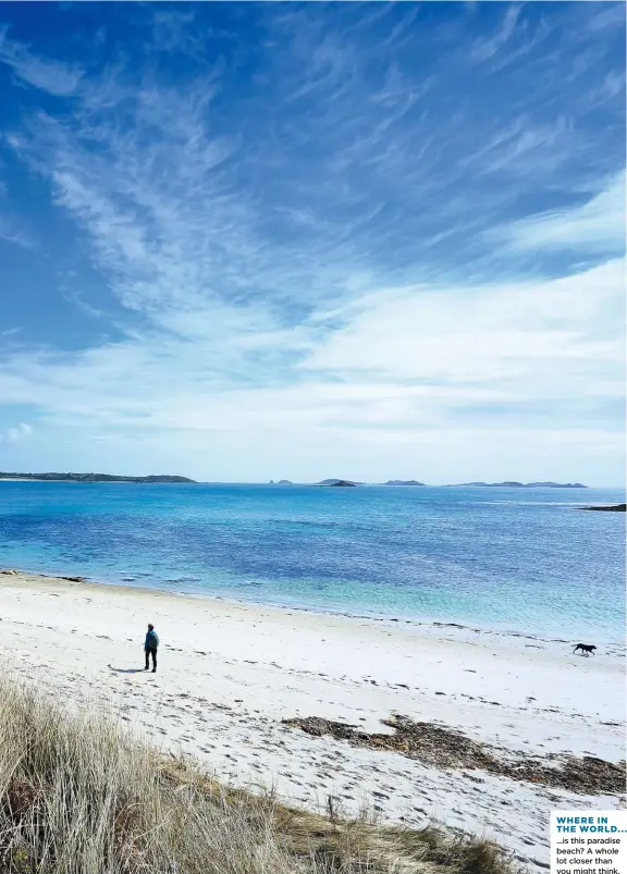  ??  ?? ...is this paradise beach? A whole lot closer than you might think.