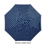  ??  ?? WAYNE, HARRY RAIN.