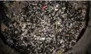  ?? Brais Lorenzo/EPA ?? Some of the pellets that washed up on the Galician coast at Seiras beach in Porto do Son, A Coruña, on Tuesday. Photograph: