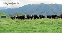  ??  ?? Cattle graze Paparata Farms’ airstrip.