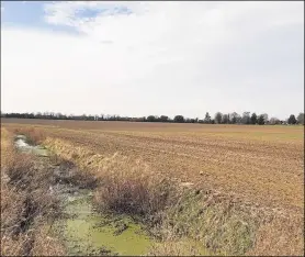  ??  ?? The scheme includes provision of funding to replace a pedestrian railway crossing which Quinn Estates describes as “unsafe”; right, how part of the 81.5-acre site off Willesboro­ugh Road currently looks