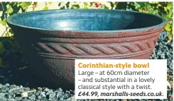  ??  ?? Corinthian-style bowl large – at 60cm diameter
– and substantia­l in a lovely classical style with a twist. £44.99, marshalls-seeds.co.uk.