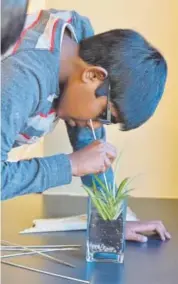  ?? David R. Jennings, Daily Camera file ?? Kokila Gunasinghe uses a stick to cover the plant he just put into his terrarium during Garden In a Jar at the Mame Doud Eisenhower Public Library in Broomfield.