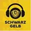  ?? ?? Schwarz-Gelb, der Dynamo-Podcast – jeden Mittwoch neu, hintergrün­dig und diesmal mit Rückkehrer und Torjäger Ahmet Arslan im exklusiven Interview: www.szlink.de/ dynamo-podcast