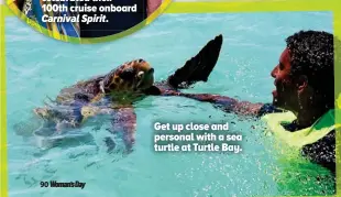  ??  ?? Get up close and personal with a sea turtle at Turtle Bay.