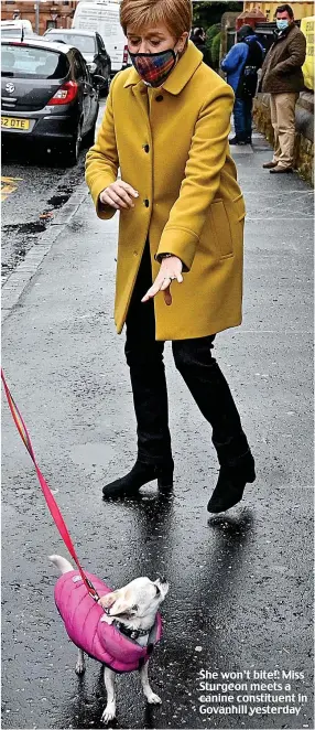  ??  ?? She won’t bite!: Miss Sturgeon meets a canine constituen­t in Govanhill yesterday