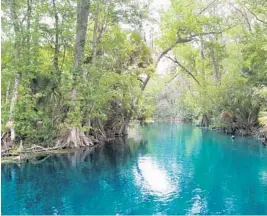  ?? GEORGE SKENE/STAFF FILE PHOTO ?? The Silver River draws water away from Silver Springs and would feel any impact to the springs.