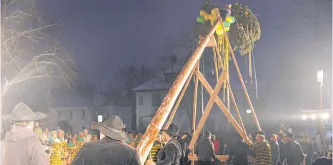  ?? FOTO: STEFAN FUCHS ?? Auf halbem Weg in den Himmel: Der Aldinger Narrenbaum wird zum 23. Mal gestellt.