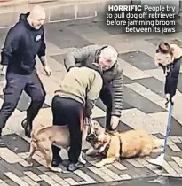  ?? ?? hoRRific People try to pull dog off retriever before jamming broom between its jaws