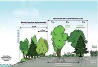  ?? ?? Schéma d’aménagemen­t d’une bande riveraine qui passera des 3 mètres règlementa­ires à 8 mètres au total et qui permettra à l’agriculteu­r d’engranger 24 000 $ pour un hectare linéaire.