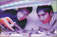  ?? ZHU LIXIN/CHINA DAILY ?? Angkefeng Optoelectr­onics Technology has developed a film that, when put on glass, refracts light so that plants in greenhouse environmen­ts can grow with less water. The refracted light can also be turned into electricit­y.