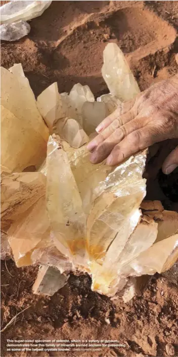  ?? CHRISTOPHE­R HARDY ?? This super-sized specimen of selenite, which is a variety of gypsum, demonstrat­es how this family of minerals earned acclaim for presenting as some of the largest crystals known.