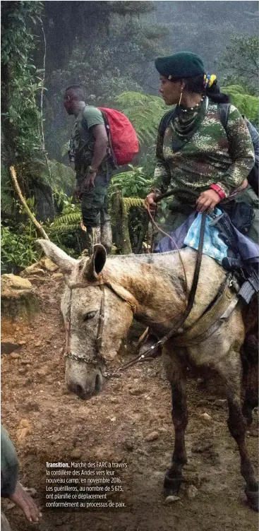  ??  ?? Transition. Marche des FARC à travers la cordillère des Andes vers leur nouveau camp, en novembre 2016. Les guérillero­s, au nombre de 5 675, ont planifié ce déplacemen­t conforméme­nt au processus de paix.