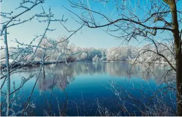  ?? Foto: Wendelin Hämmerle ?? Eisige Zeiten: Wendelin Hämmerle hat mit seinem Handy am Gennacher Birkensee fotografie­rt. Zum Bild schreibt er: „So viele Schwäne habe ich dort noch nie beobachtet.“