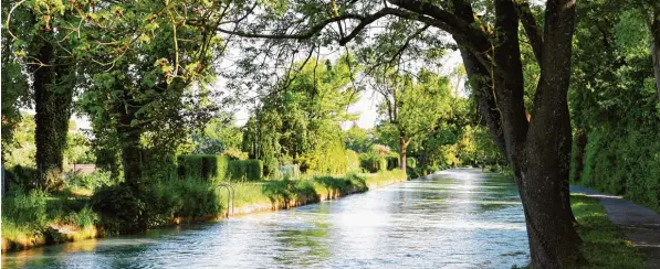  ?? Foto: Silvio Wyszengrad ?? Gerodet wurde bislang nicht. Alle Bäume stehen noch am Herrenbach zwischen der Friedberge­r und der Reichenber­ger Straße. Die Fällarbeit­en sollen erst im Herbst dieses Jahres erfolgen. Ob diese Aktion wirklich nötig ist, diese Frage sorgt in der...