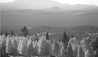  ?? ELI IMADALI/THE REPUBLIC ?? Golen aspen dot the landscape below Arizona Snowbowl in the San Francisco Peaks near near Flagstaff on Tuesday, Oct. 15, 2019.