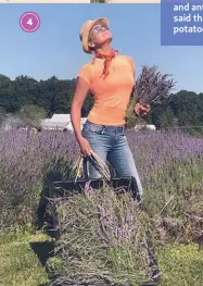  ??  ?? 4. The family replanted 1,500 lavender plants, some of which Yolanda uses to make essential oils.