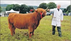  ?? 08_a34mas18 ?? Highland champion Neoneoin Ruadh 2 of Achnacrois­h, led by Stuart McKay.