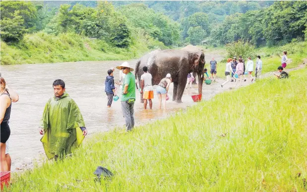  ?? GILLIAN SHAW ?? Mosquito repellent, sunscreen, swim gear and a change of clothes are necessary for tourists who plan to wash elephants in the river.