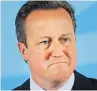  ??  ?? TARGET David Cameron