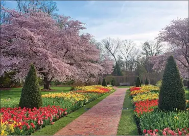  ?? PHOTO BY SCOTT R. HUMMEL ?? The Flower Garden Walk at Chester County’s famous Longwood Gardens.