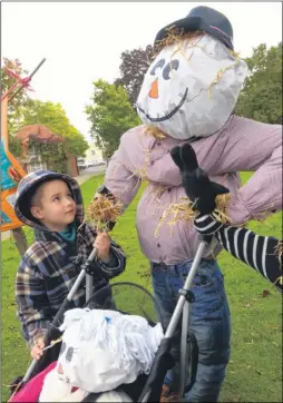  ?? Picture: Chris Davey FM4950961 ?? Radu Netcu, five, takes a close look at one of the scarecrow’s in the Westgate Gardens on Saturday