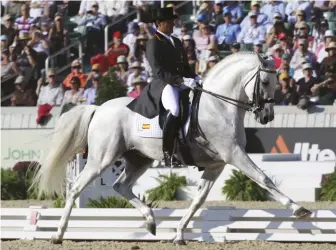  ??  ?? The P.r.e. Fuego XII ridden by Juan manuel muñoz diaz of spain was a crowd favorite at the 2010 alltech FeI World equestrian games in lexington, Ky.