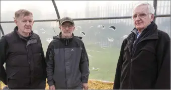  ??  ?? Pat O’Keeffe and Jerry Quain of Charlevill­e Men’s Shed committee with Paul O’Flynn (centre) tutor of the ETB horticultu­re course in Charlevill­e and the damaged polytunnel in the background.